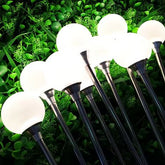 Street Park Garden Decorative 12V Led Fiber Optic Reed Flower Light for Landscape Flower Light Decorative Lights (Pack of 10 With Driver)