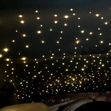 18W Warm White Twinkle Led Light Engine for Car & Roof Celling-light engine-Lighting Hub-Lighting Hub