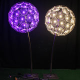 LED RGB dandelion lamp outdoor waterproof IP65 optical fiber lamp garden decorative lamp