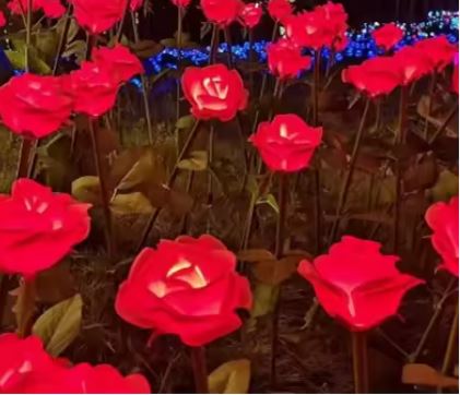 Stylish Garden Light Led Decoration Rose Lamp Outdoor Light Colourful Flower Landscape Courtyard Lawn Light(Pack of 10 With Driver)-Garden Light-Lighting Hub-Lighting Hub