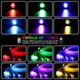 16WApp+ Remote Twinkle Fiber Optic Light Kit 16.4ft/5m 0.5MM-250Pcs, 0.75MM-300Pcs, 1MM-30Pcs, 1.5MM-20Pcs for Car Starlight and Home(600Pcs/5Meter)