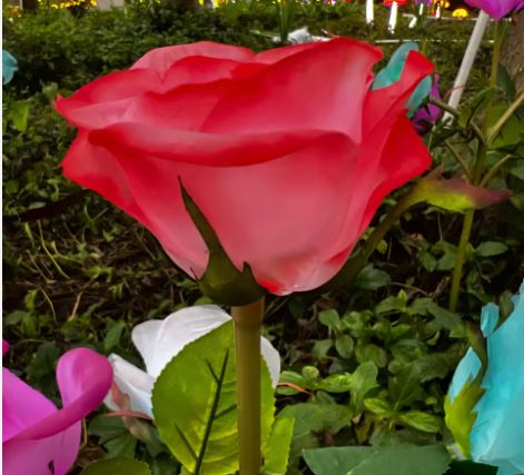 Stylish Garden Light Led Decoration Rose Lamp Outdoor Light Colourful Flower Landscape Courtyard Lawn Light(Pack of 10 With Driver)-Garden Light-Lighting Hub-Lighting Hub