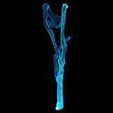 LED Fiber Optic Mesh Ceiling & Wall Light Kits For Party Decoration (10-meter mesh + remote)-Fiber Optic Mesh-Lighting Hub-Lighting Hub