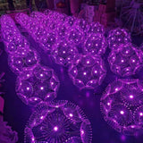 LED RGB dandelion lamp outdoor waterproof IP65 optical fiber lamp garden decorative lamp