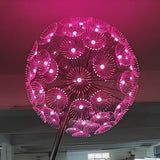 LED RGB dandelion lamp outdoor waterproof IP65 optical fiber lamp garden decorative lamp