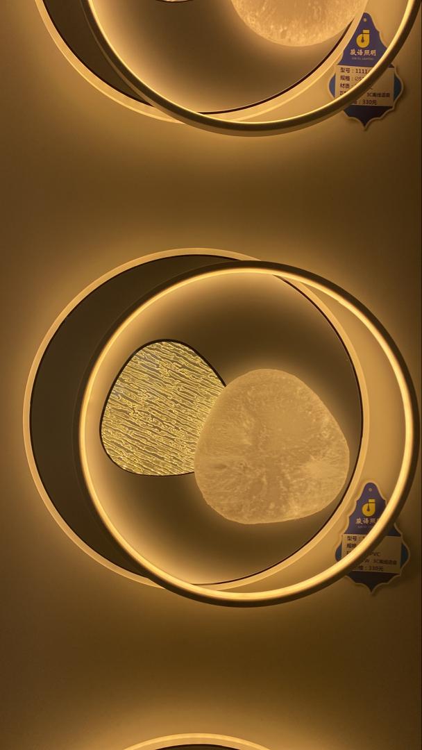 LED Ceiling Light Round Indoor Lamp Two-color Iron Base Lamp Surface Mounted for Bedroom Hotel Office-Other Interior Accessories-Lighting Hub-Lighting Hub