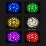 LED RGB dandelion lamp outdoor waterproof IP65 optical fiber lamp garden decorative lamp