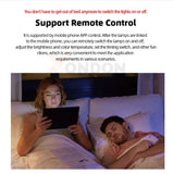 Smart Voice Bladeless Ceiling Fan With Light Remote Control Bladeless Fan Lamp Smart LED Fan Light for Home Bedroom