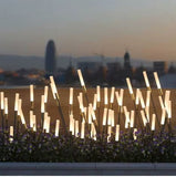 Modern and stylish 12V Acrylic LED Reed Light Outdoor Waterproof Christmas Decoration Stake Light (Pack of 10 with driver)