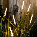 Modern and stylish 12V Acrylic LED Reed Light Outdoor Waterproof Christmas Decoration Stake Light (Pack of 10 with driver)