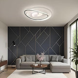 LED Ceiling Light Moons  Round Indoor Lamp Two-color Iron Base Lamp Surface Mounted for Bedroom Hotel Office