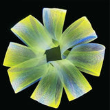 LED Fiber Optic Mesh Ceiling & Wall Light Kits For Party Decoration (3meter mesh + remote)